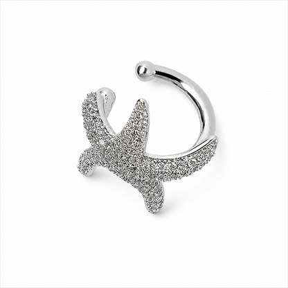 Star Fish