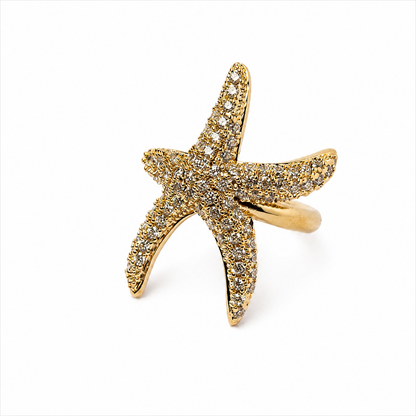 Star Fish