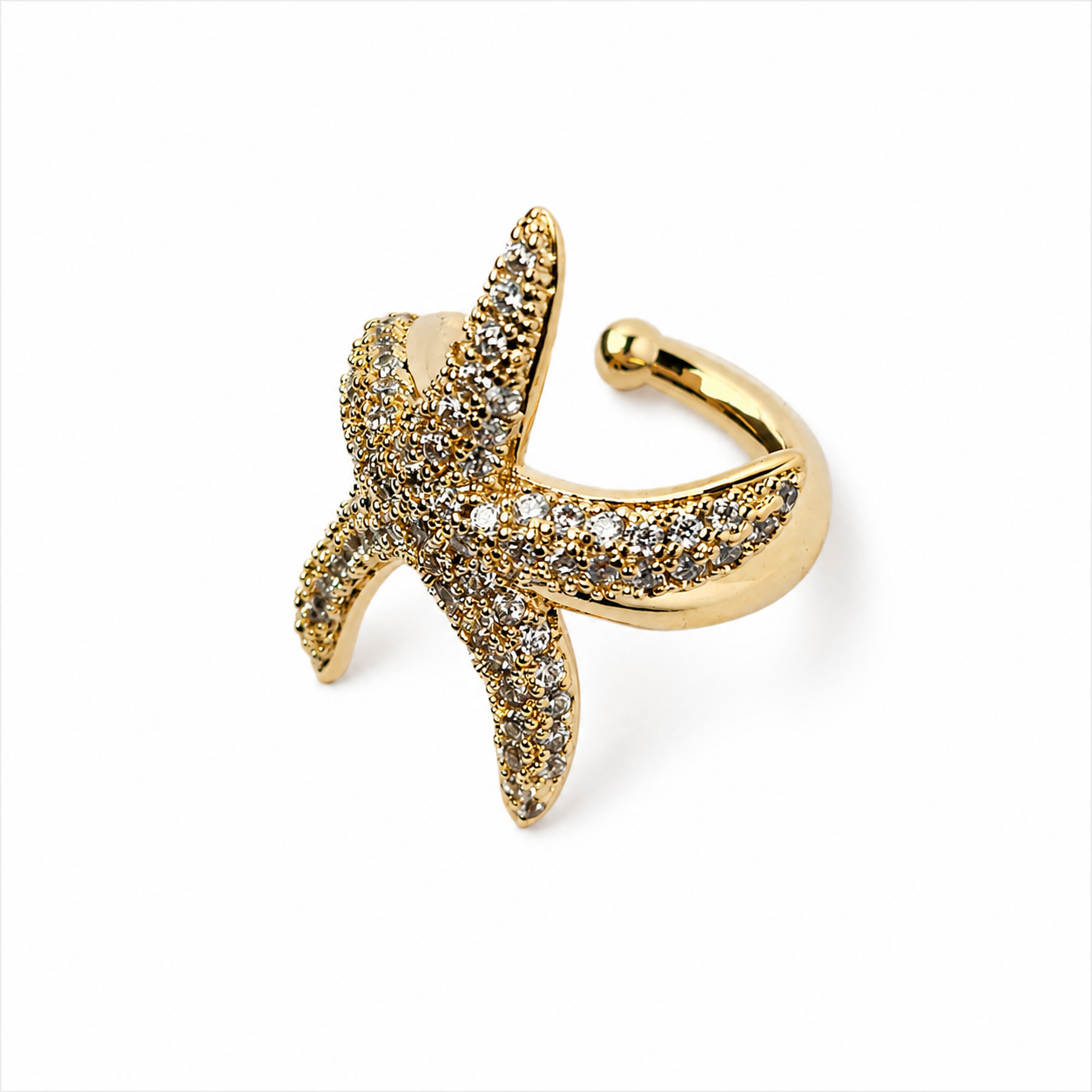 Star Fish